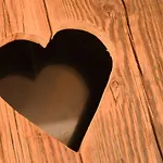 تْسور شونن آوسيخت غارني